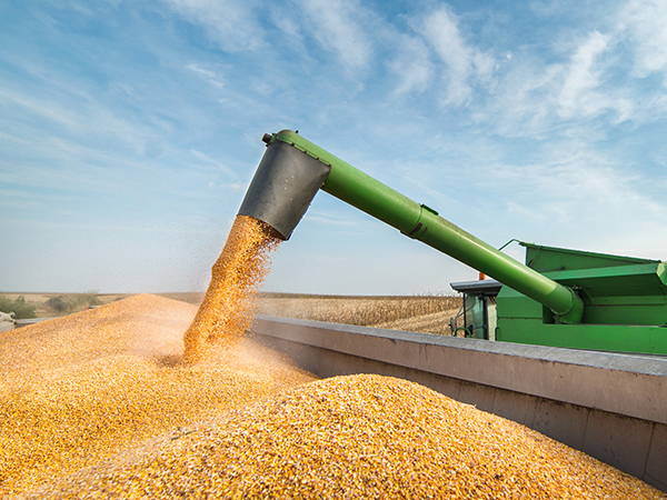 Grain Handling Equipment